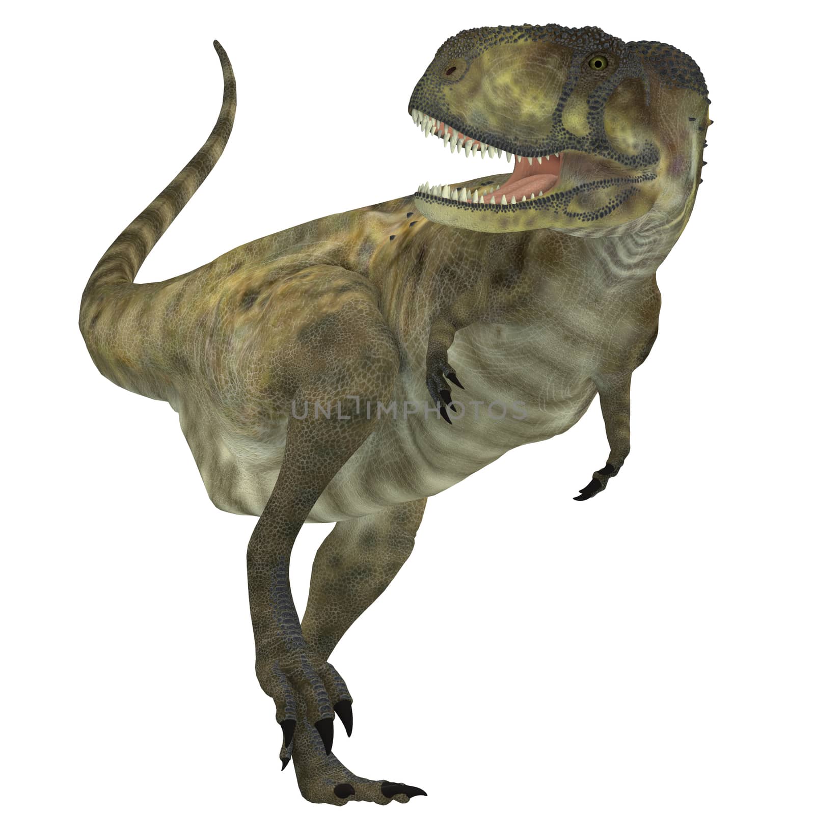 Abelisaurus was a carnivorous theropod dinosaur that lived in the Cretaceous Period of Argentina.