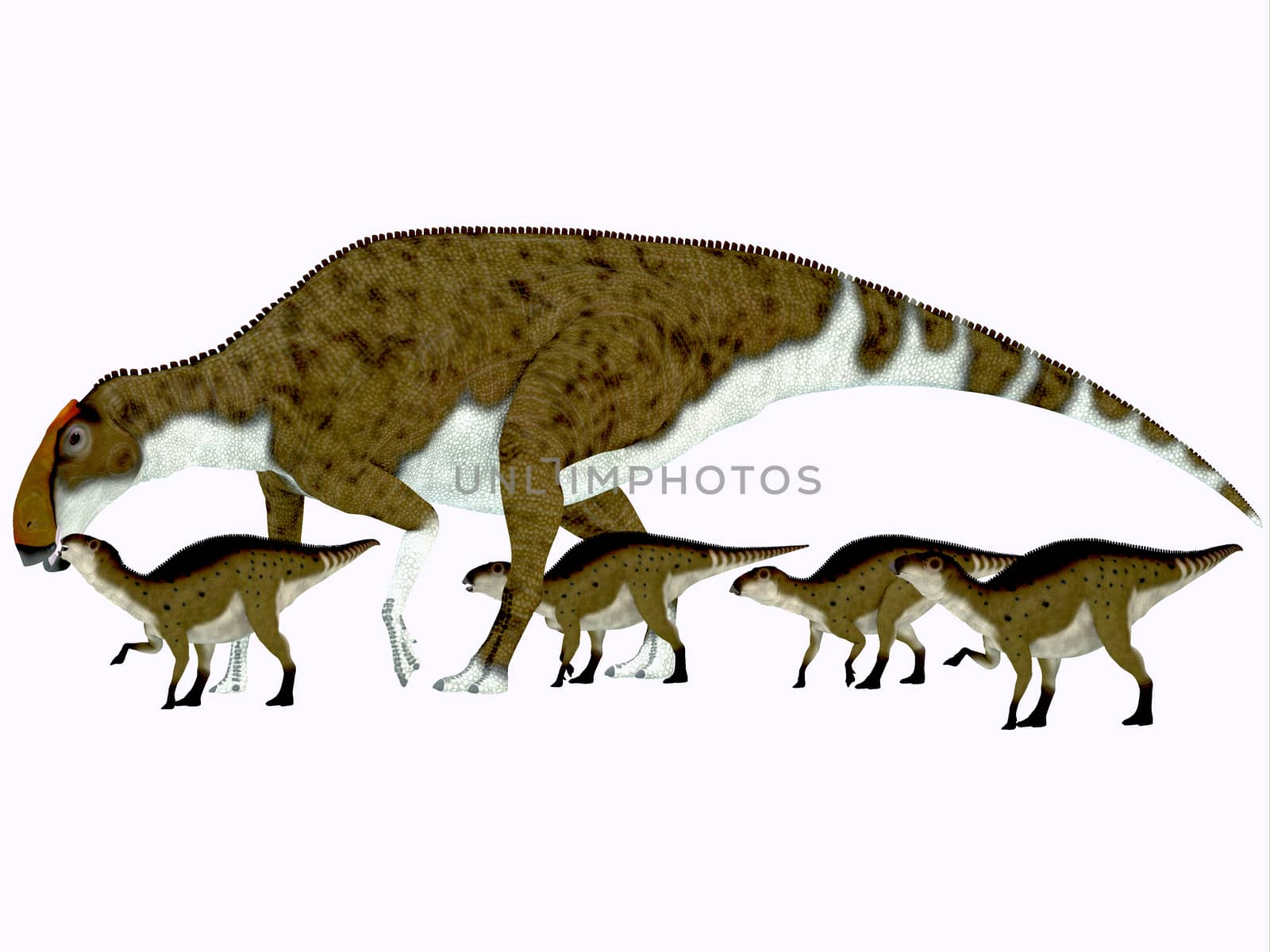 Brachylophosaurus Side Profile by Catmando