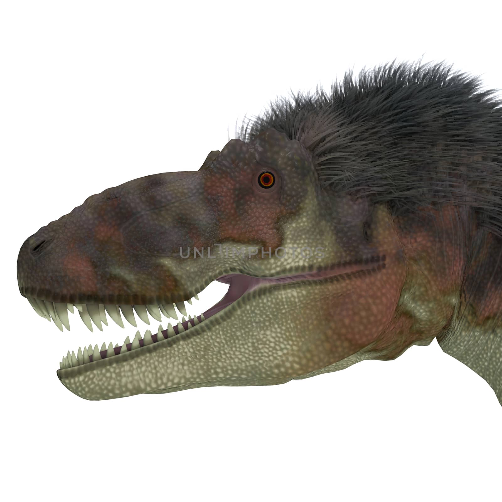 Daspletosaurus Dinosaur Head by Catmando