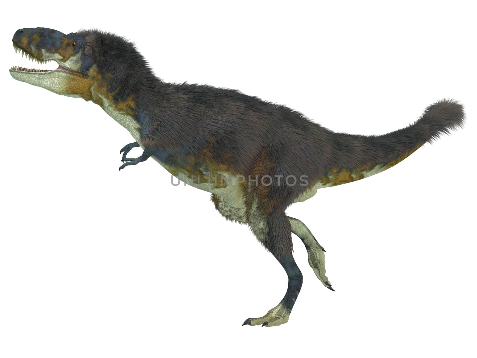 Daspletosaurus Side Profile by Catmando