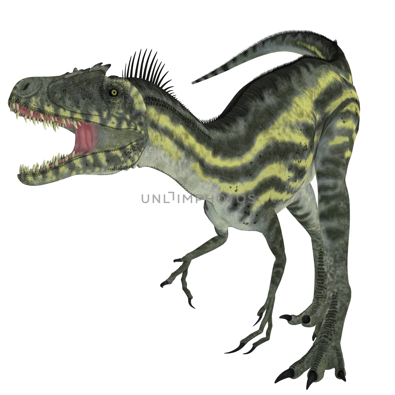 Deltadromeus was a theropod carnivorous dinosaur that lived in Northern Africa during the Cretaceous Period.