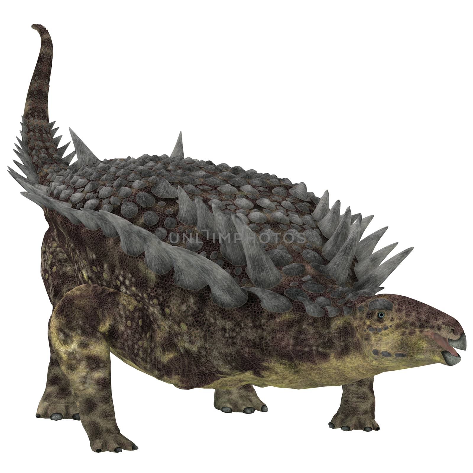 Hungarosaurus was an ankylosaur herbivorous dinosaur that lived in Hungary during the Cretaceous Period.