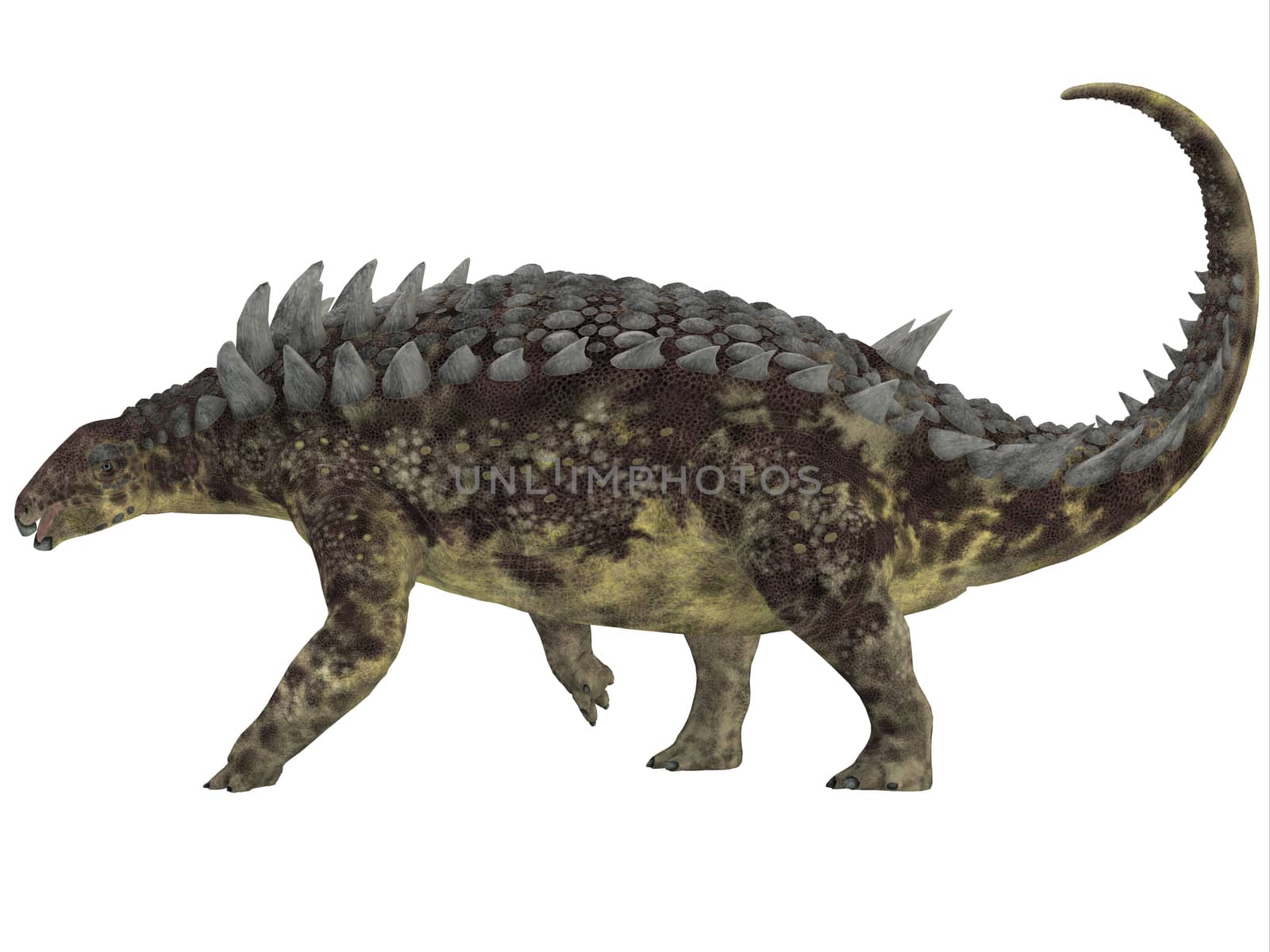 Hungarosaurus Side Profile by Catmando