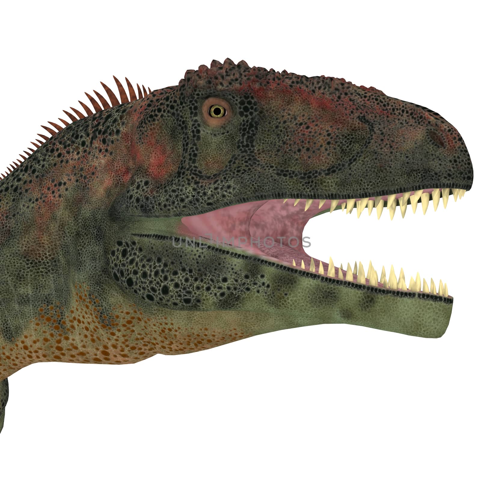 Mapusaurus Dinosaur Head by Catmando