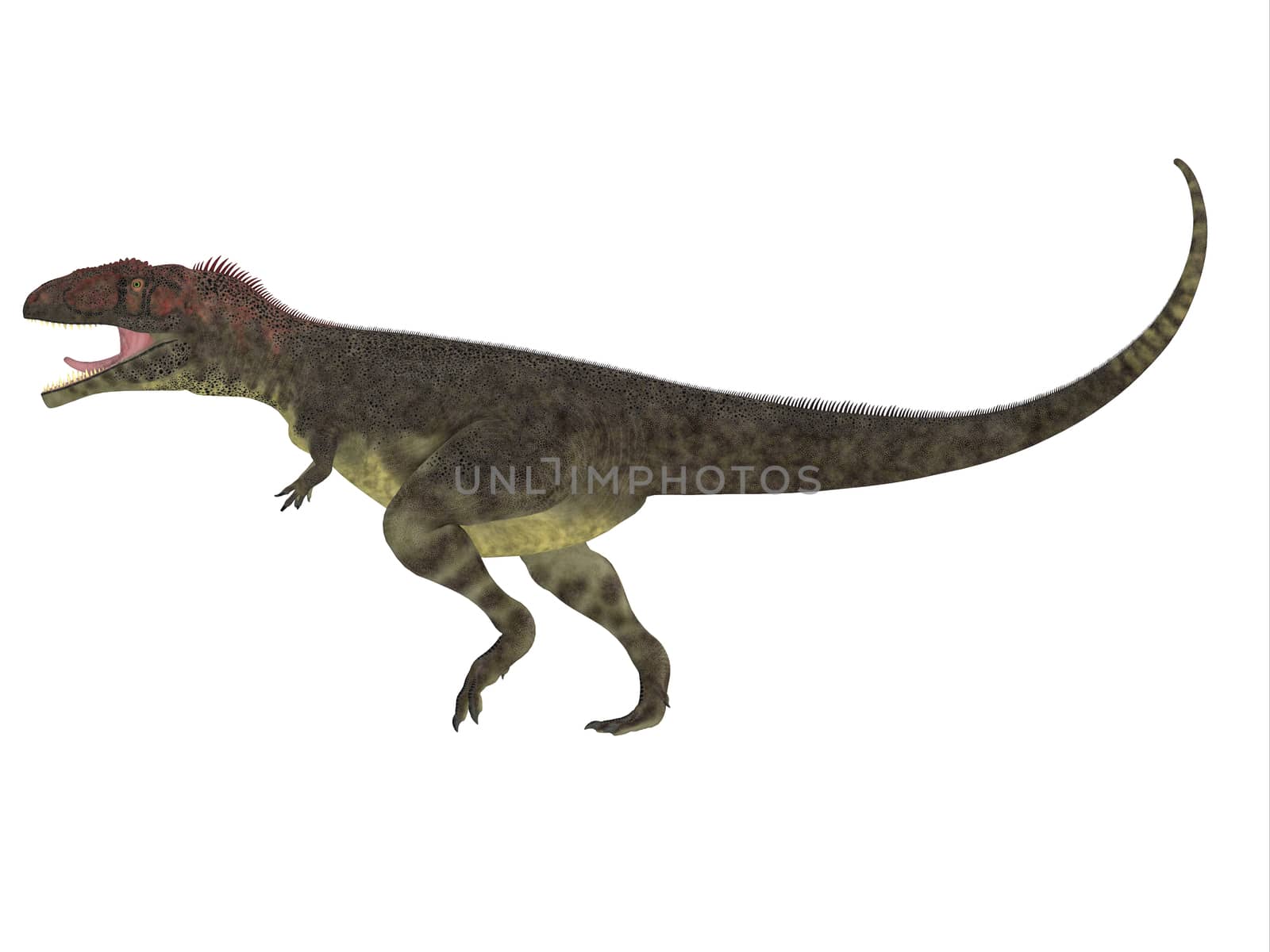 Mapusaurus Side Profile by Catmando