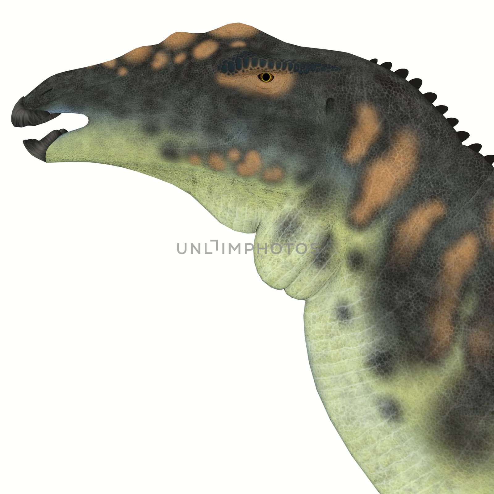 Ouranosaurus Dinosaur Head by Catmando