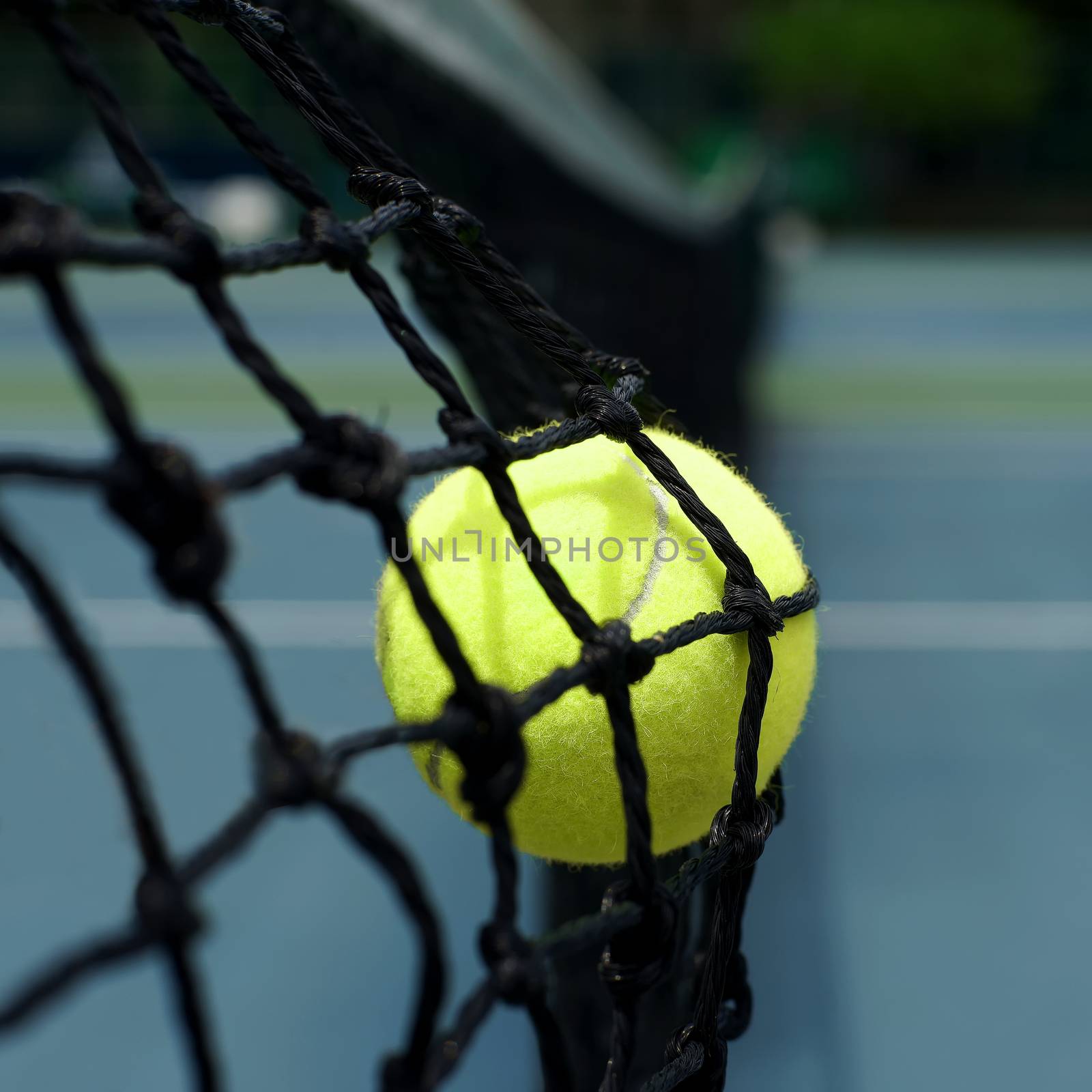tennis ball in net by leisuretime70