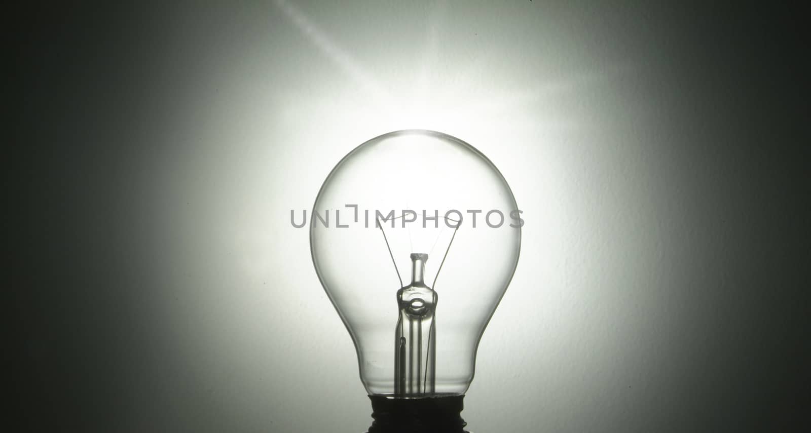 bulb by diecidodici