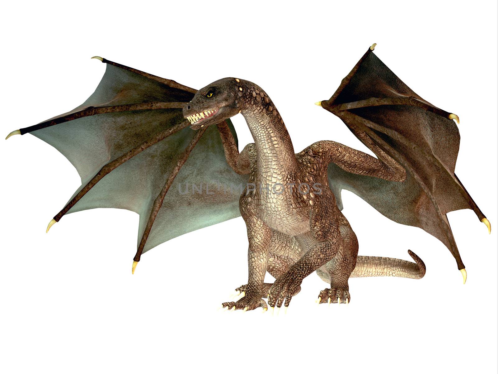 The dragon is a legendary creature with reptilian traits and wings featured in myths in many cultures.