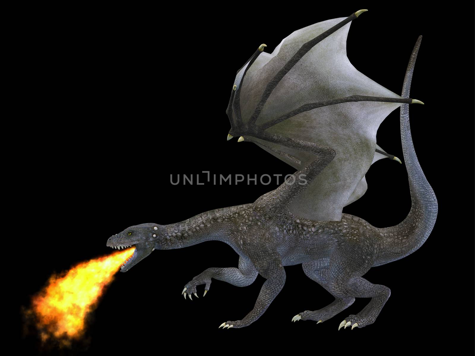 Fire Breathing Dragon by Catmando