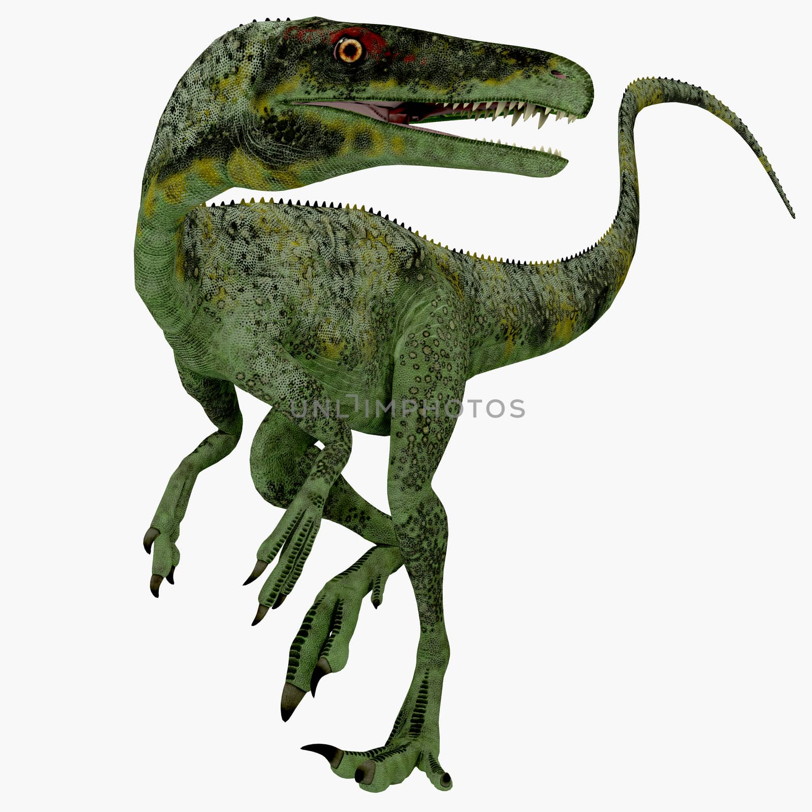 Juravenator was a small carnivorous dinosaur that lived in Germany during the Jurassic Period.