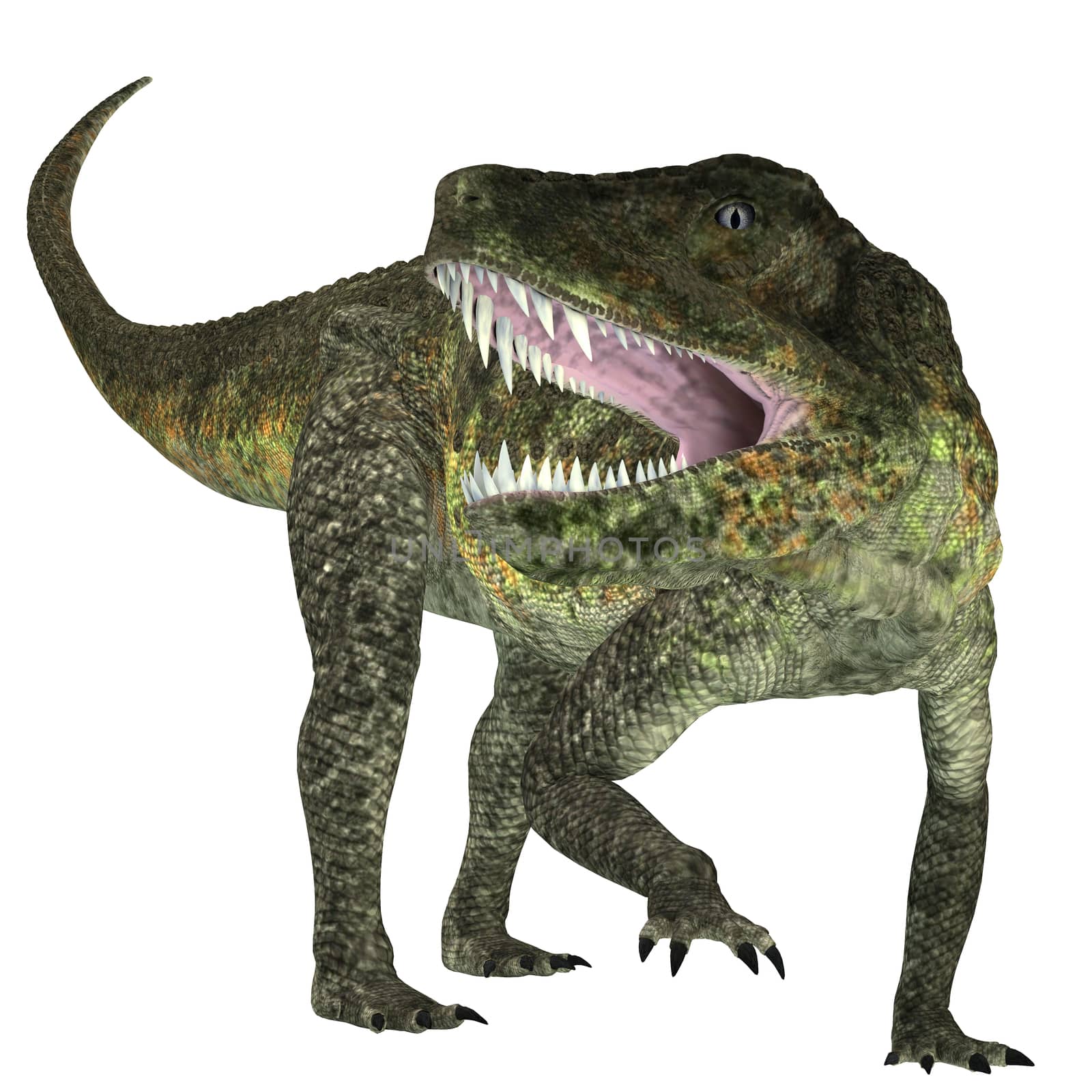 Postosuchus was a cousin of crocodiles and lived as a carnivore in North America during the Triassic Era.