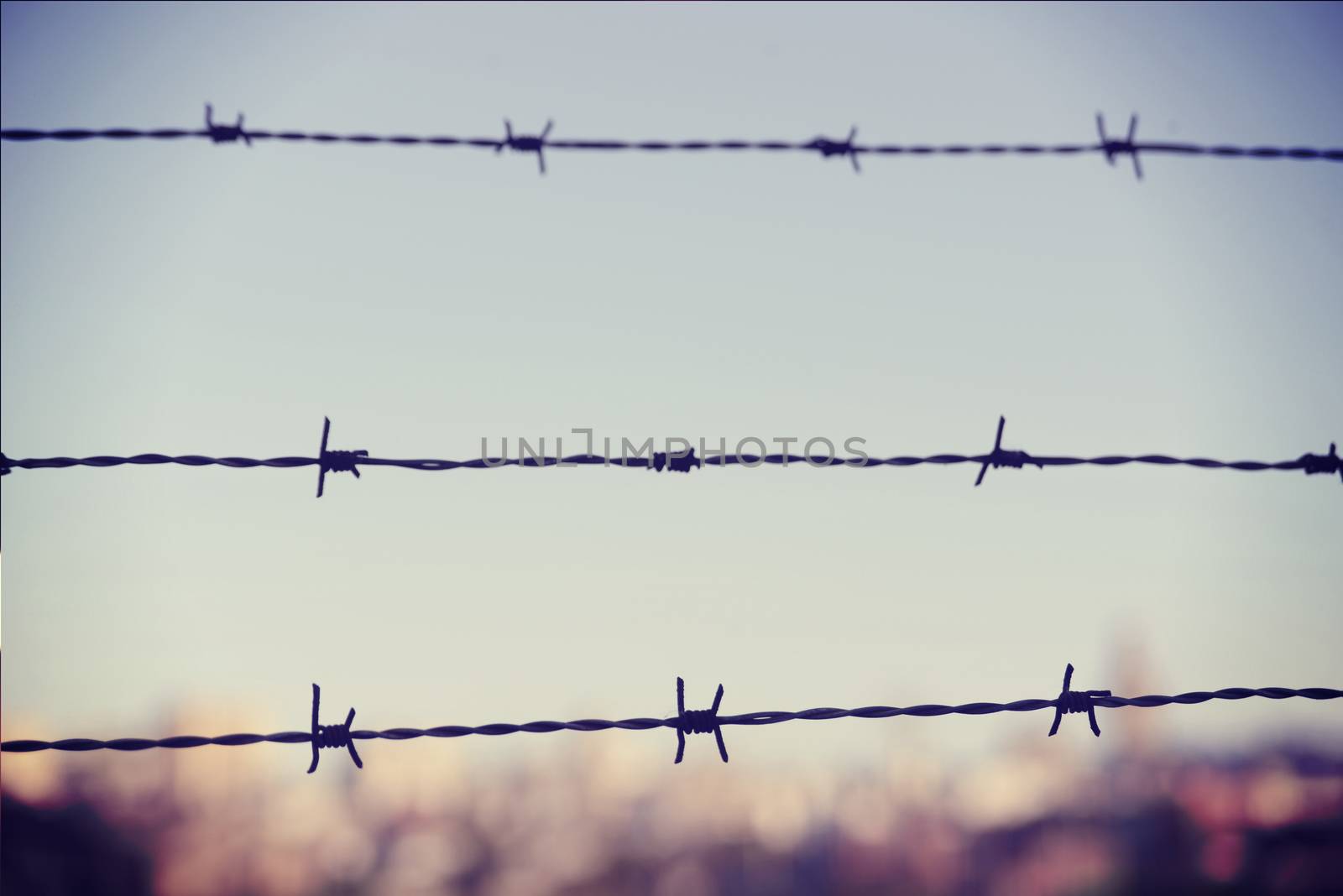 Freedom concept: barbed wire iron fence closeup with blur city in the background and vintage filter effect.