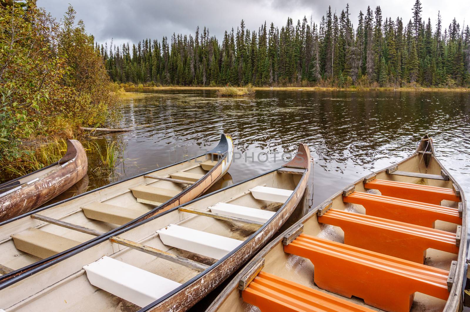 Canoes moored in McGillivray Lake by hpbfotos