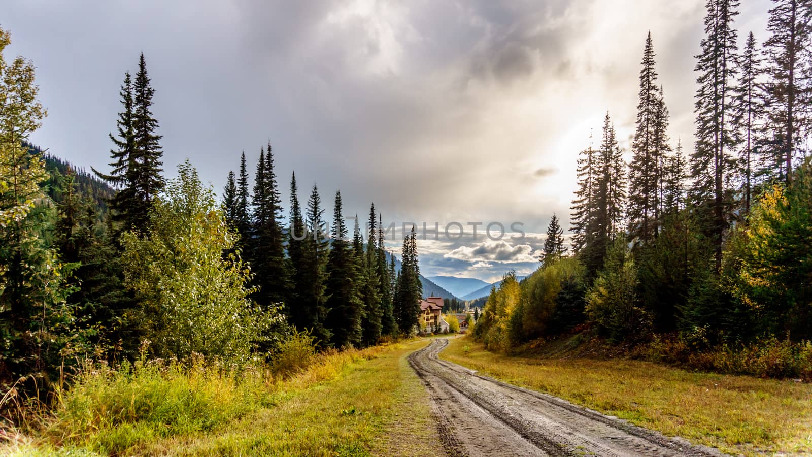 Muddy path leading down the hill to the village of Sun Peaks in the Shuswap Highlands in central British Columbia