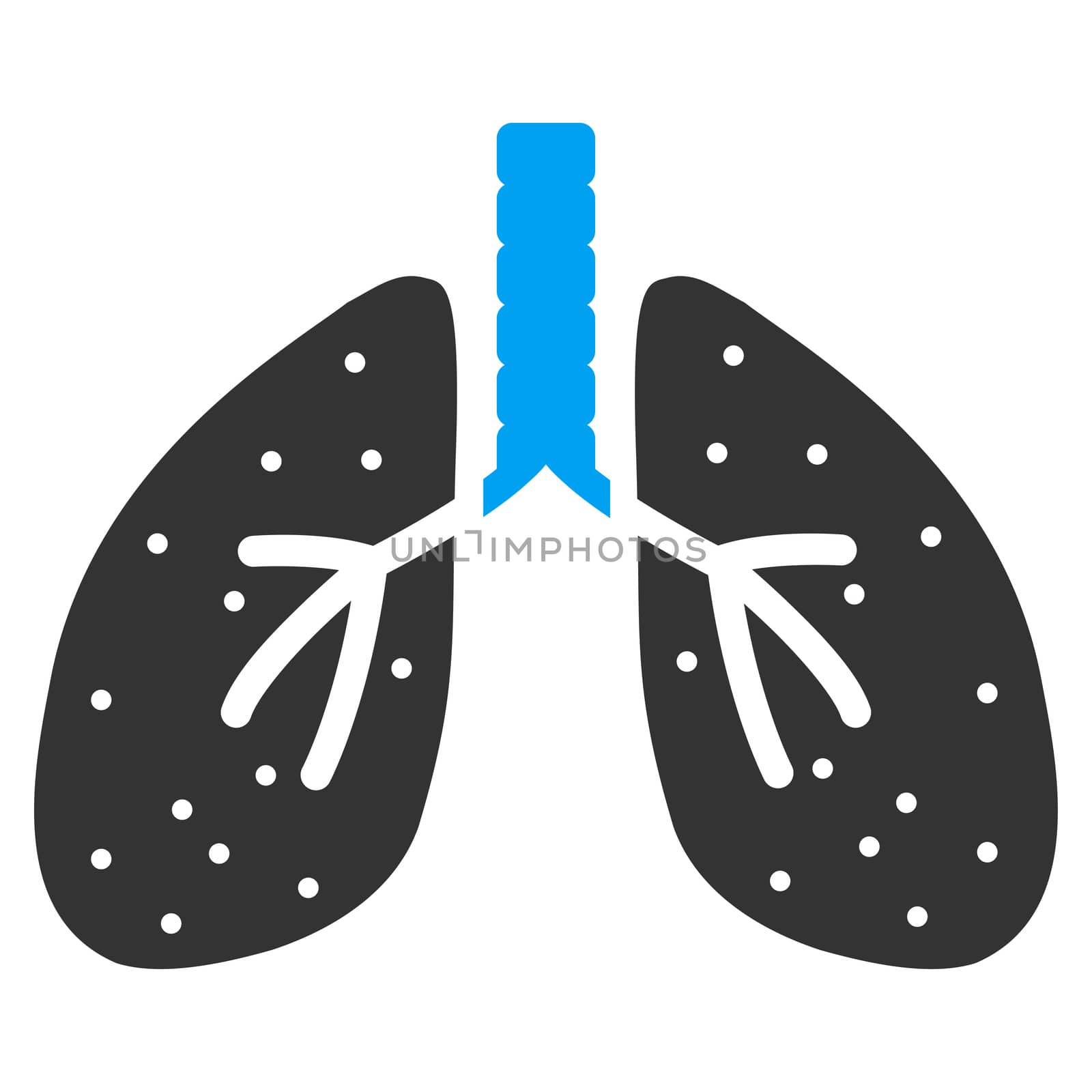 Lungs raster icon. Style is bicolor flat symbol, blue and gray colors, rounded angles, white background.