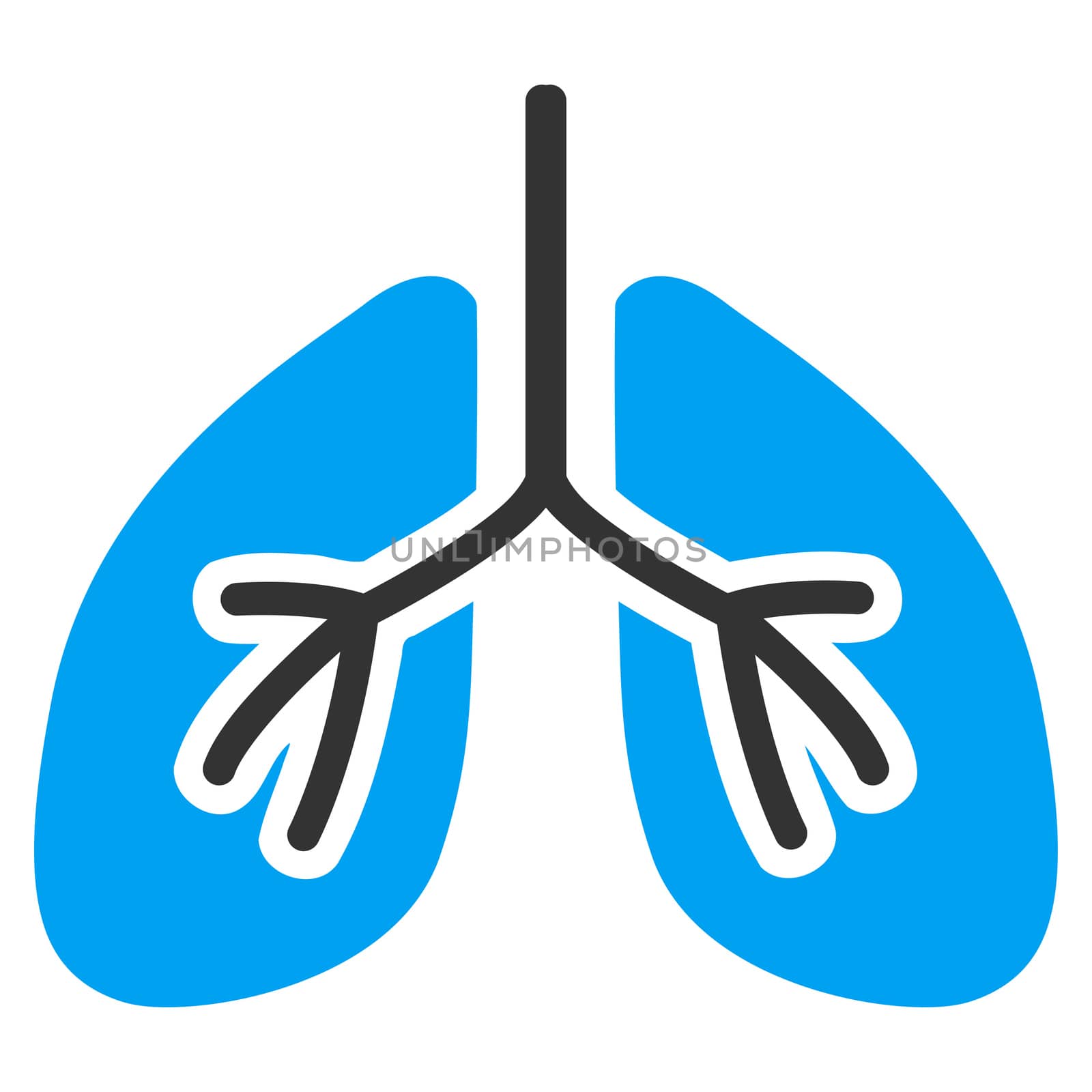 Lungs raster icon. Style is bicolor flat symbol, blue and gray colors, rounded angles, white background.