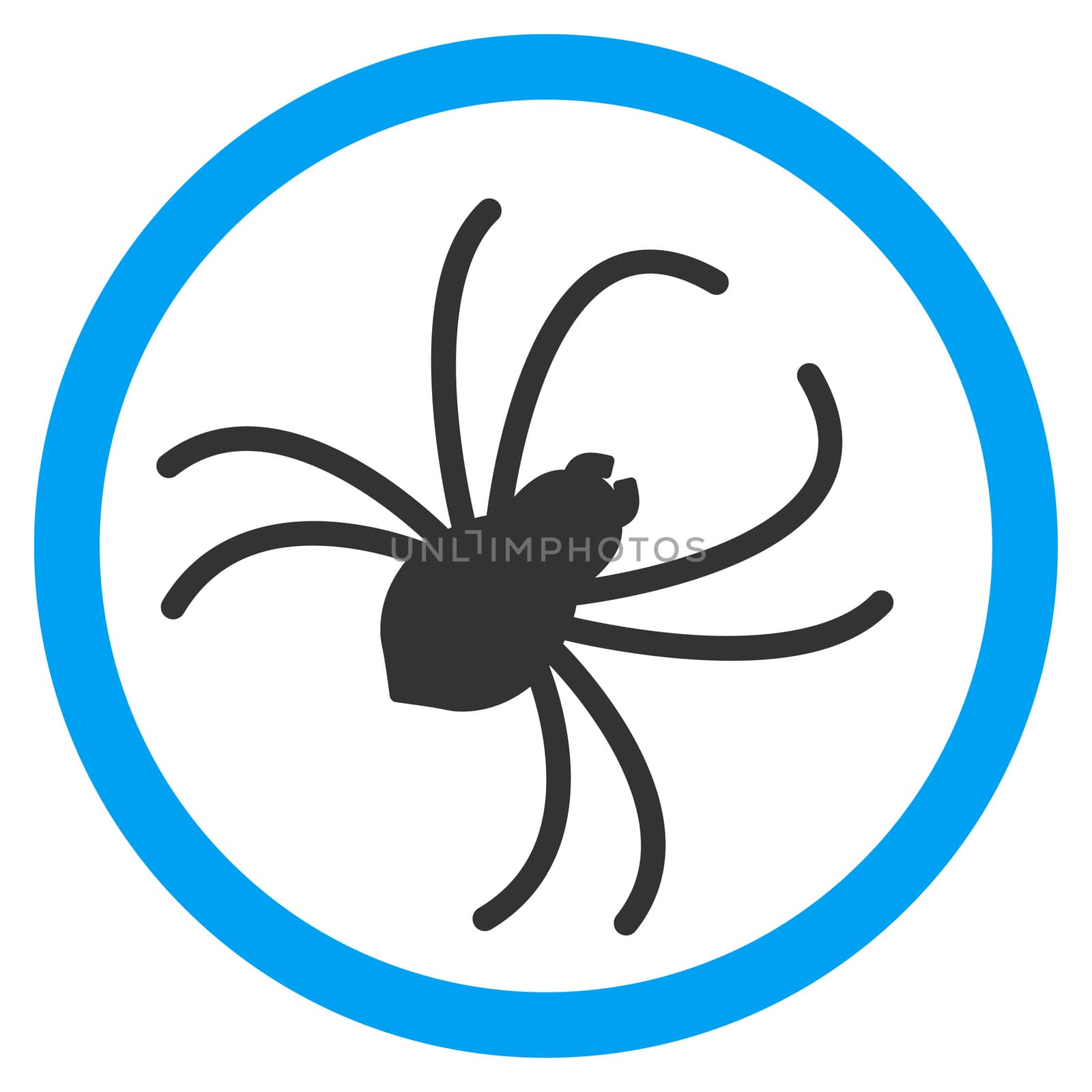 Spider raster icon. Style is bicolor flat symbol, blue and gray colors, rounded angles, white background.