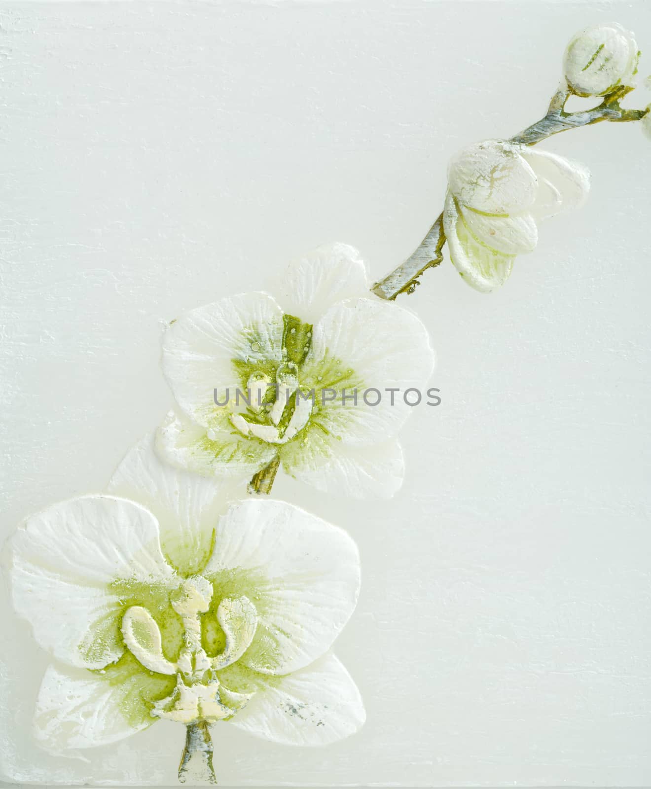 abstract spring background with flowers and space for text