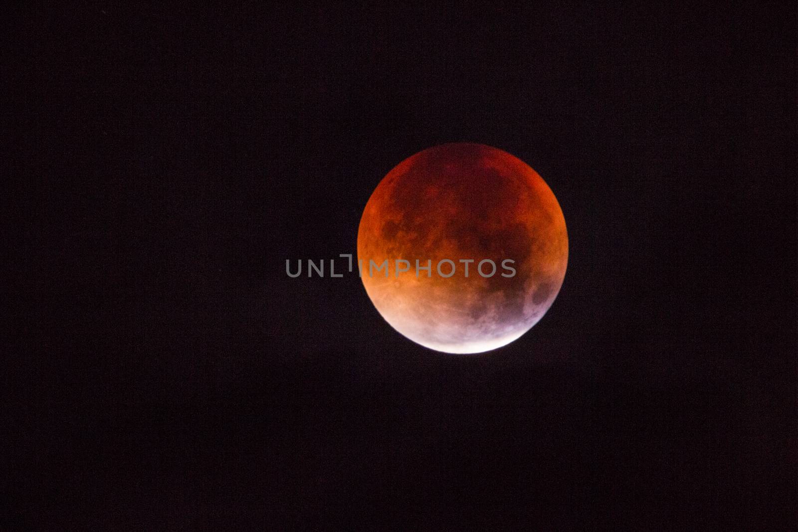 Blood Moon by thomas_males