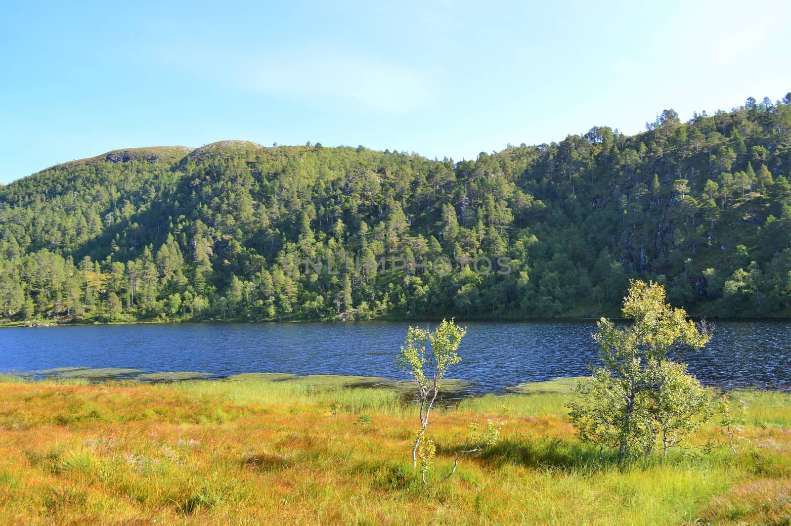 Beautiful countryside from Norway's west coast, close to the town of Molde.