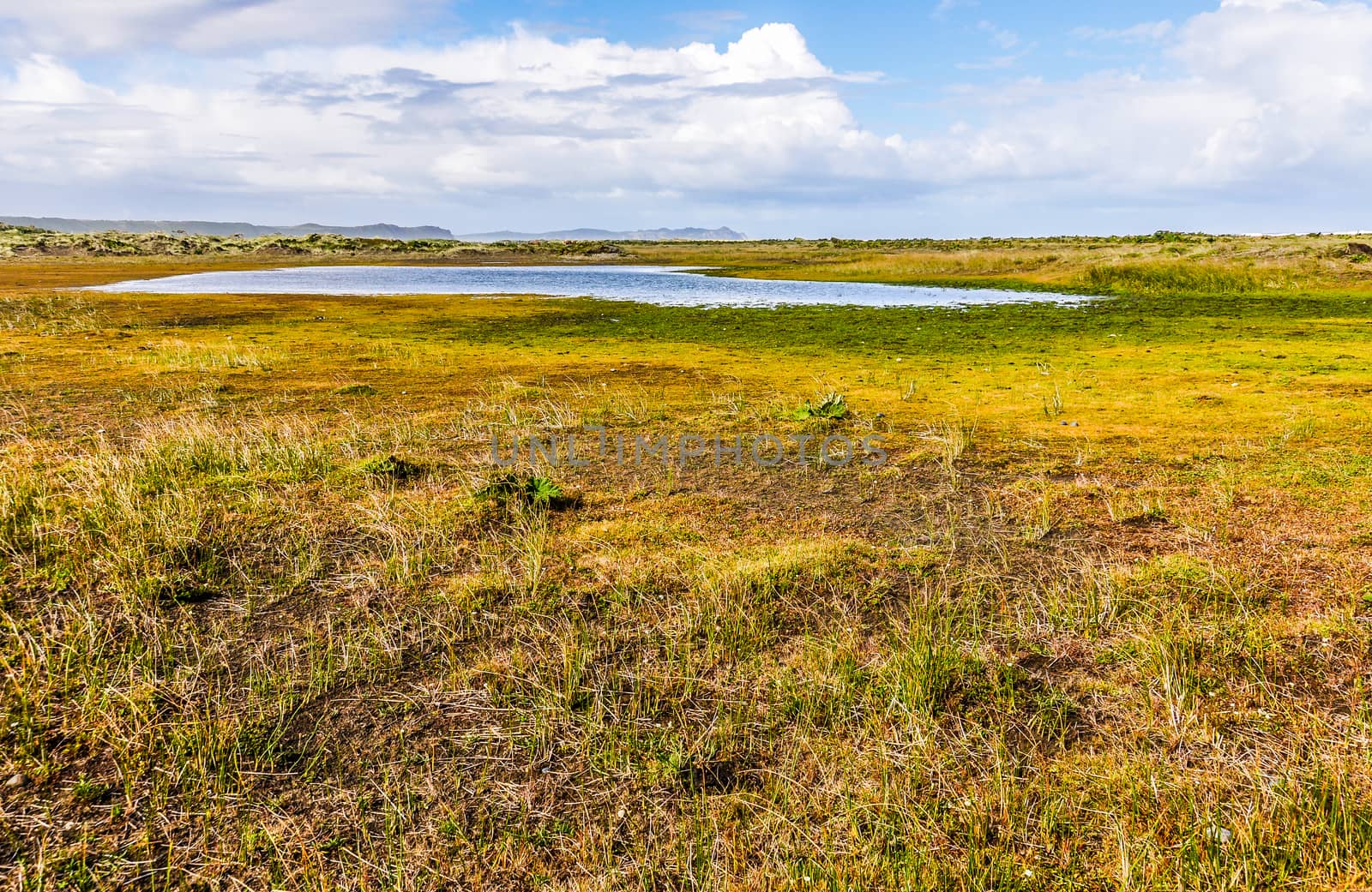 Chiloe National Park, Chiloe Island, Patagonia, Chile