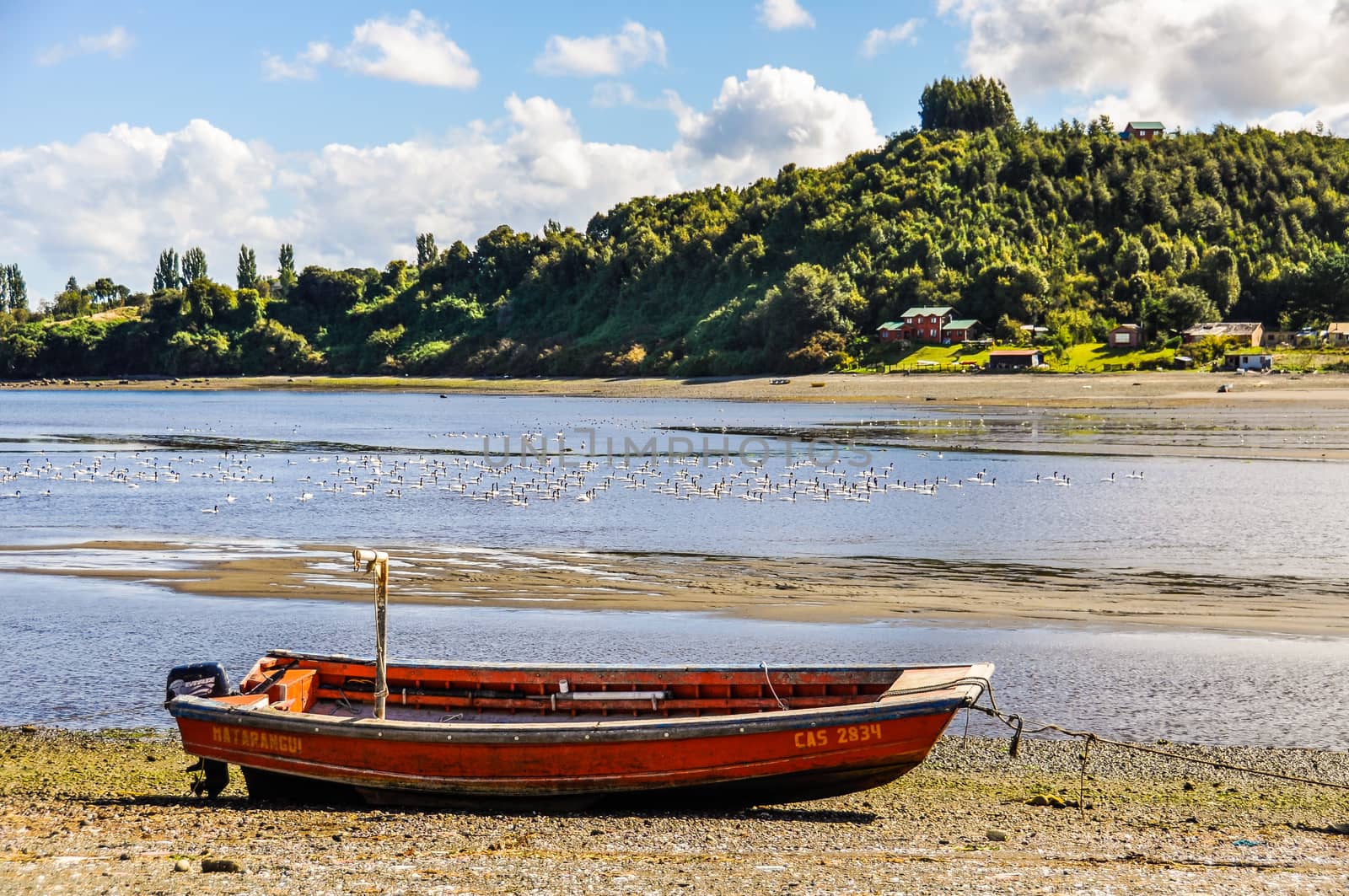 Lonely boat on the shore, Chiloe Island, Patagonia, Chile