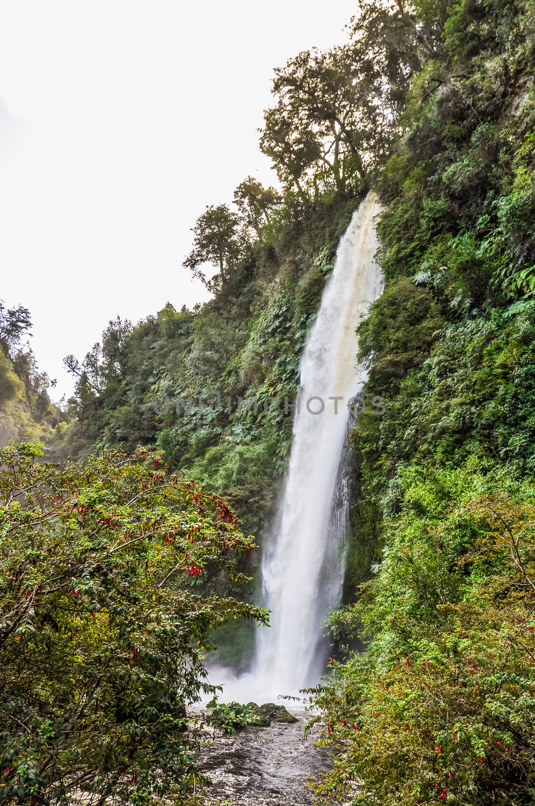 View of a waterfall, Chiloe Island, Patagonia, Chile