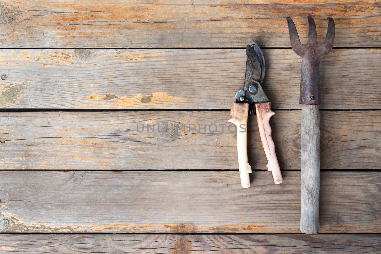 Old wooden texture background with garden tools, close up view