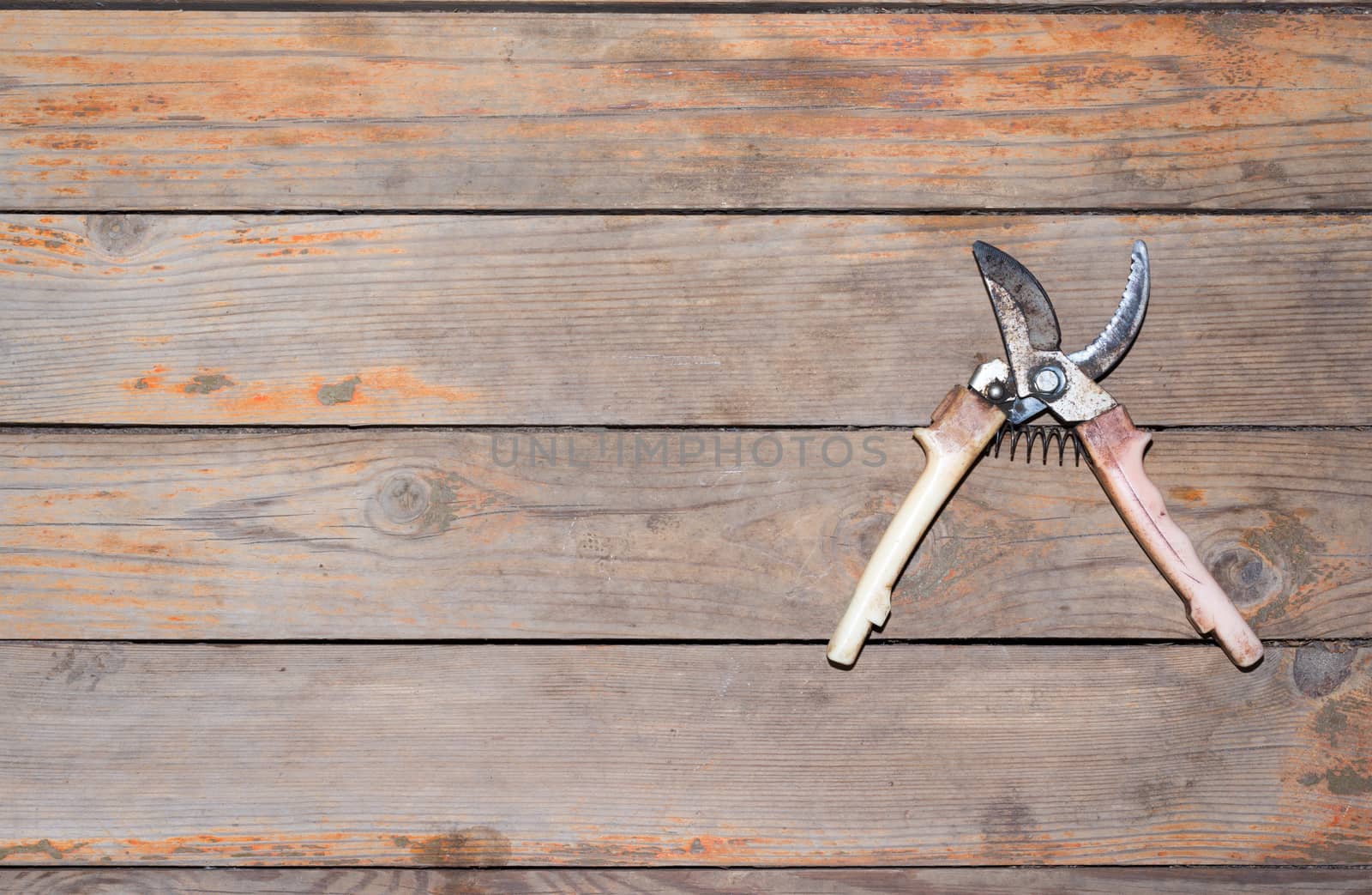 Old wooden texture background with clipper, close up view