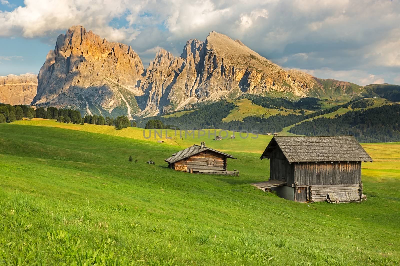Langkofel Group at Seiser Alm, South Tyrol, Italy by fisfra