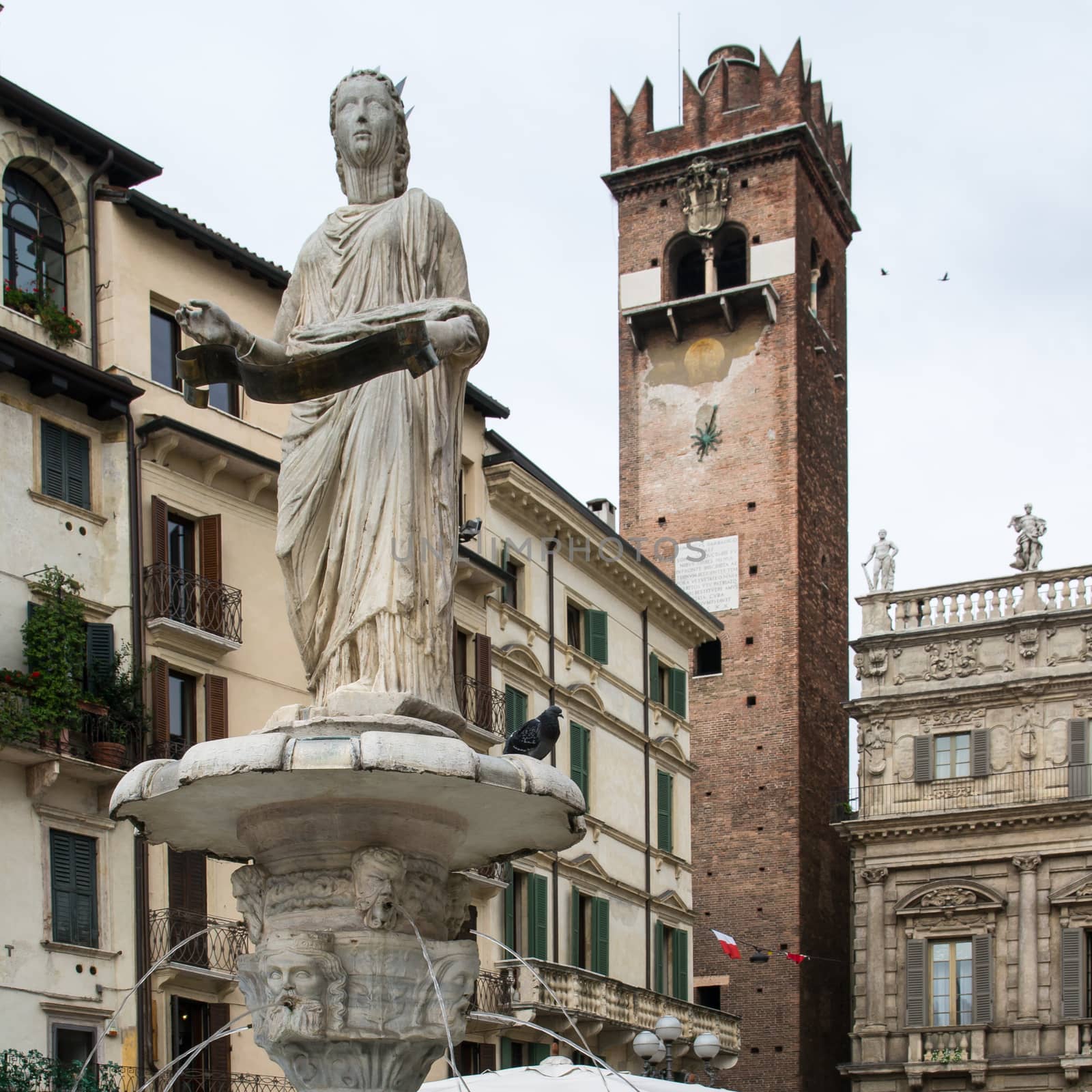 square herbs verona by Isaac74