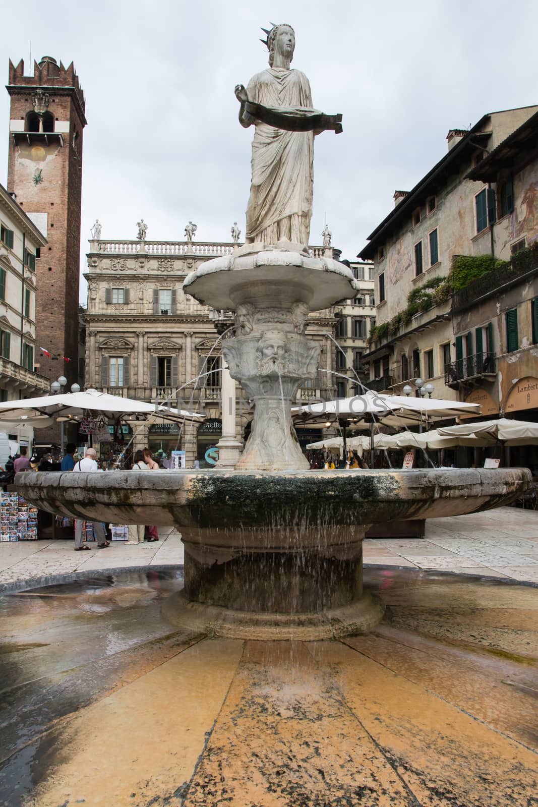 square herbs verona