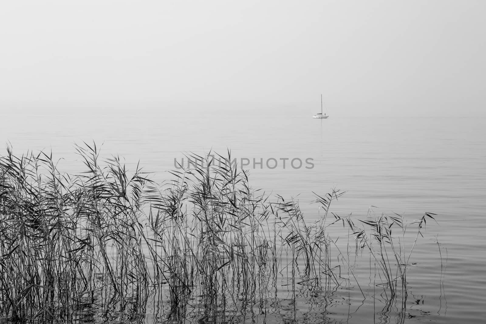 a sailboat sailing in the mist of the lake