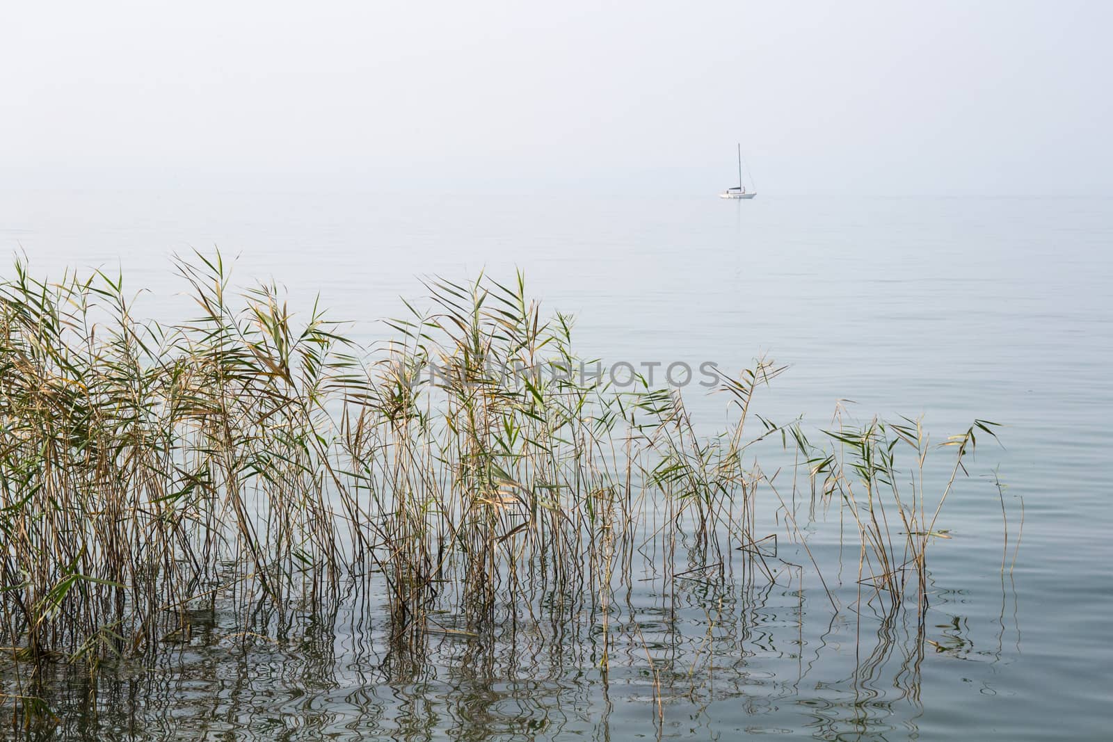 a sailboat sailing in the mist of the lake