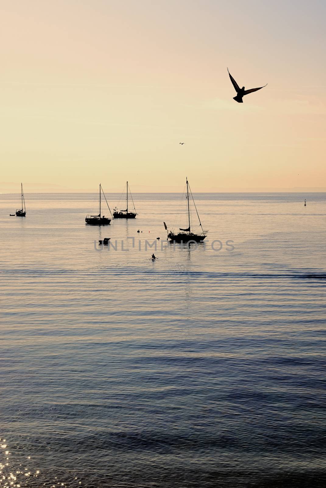 Sailboat against a beautiful sunset