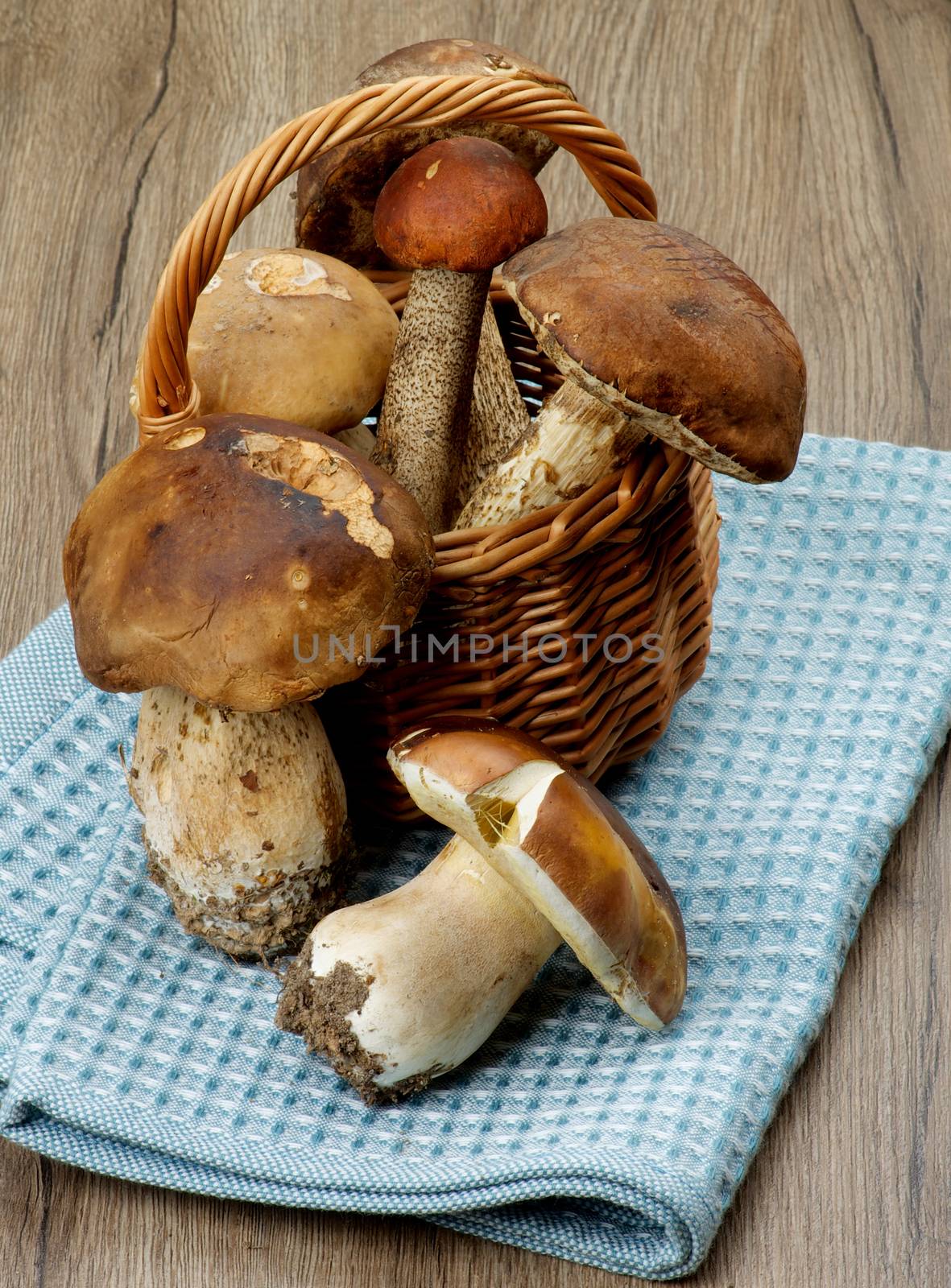 Fresh Ripe Porcini Mushrooms, Orange-Cap Boletus and Peppery Bolete in Wicker Basket closeup on Textured Wooden background