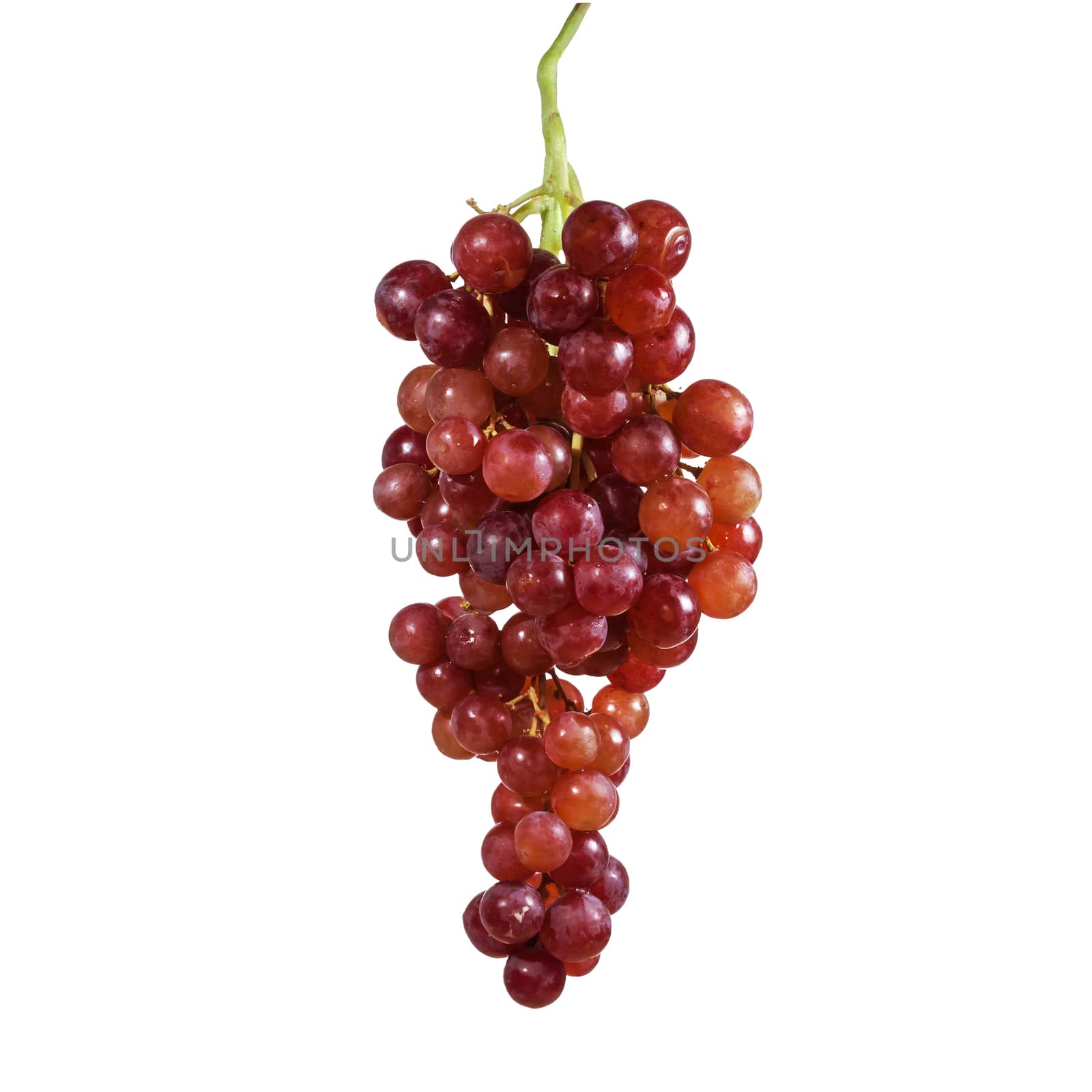grapes isolated on over white background.
