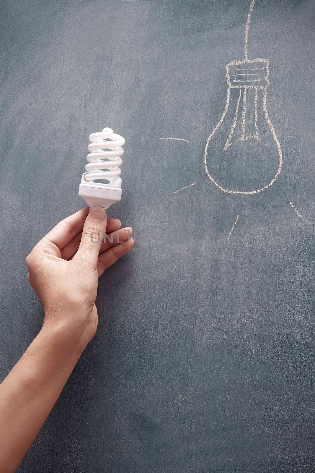 Human hand holding energy saving lamp at the blackboard