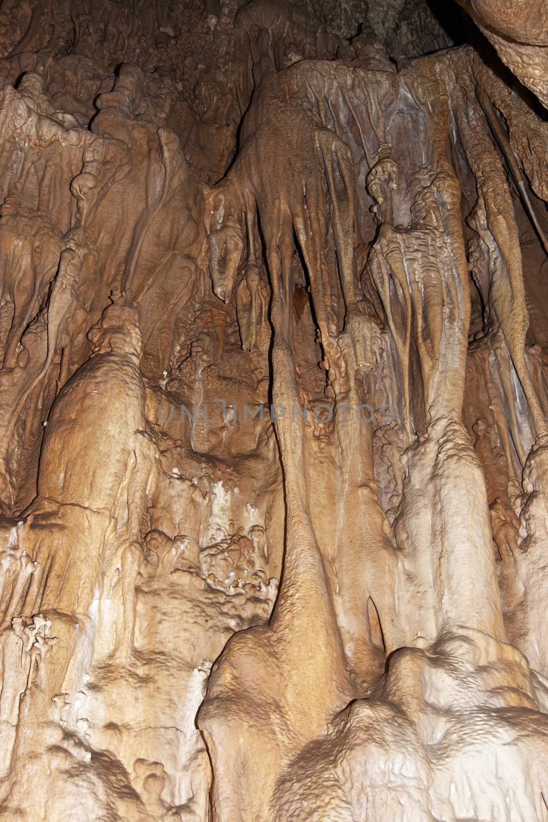 Javoricko stalactite caves are located in central Moravia, about 10 miles west of Litovle city. Underground cave system Javoricko a complex of corridors, domes and divides. Cave excel beautiful stalactite formations. The underground system of caves Javoricko consists of a complex of corridors, halls and gorges. They were created in the Isle of Devonian limestone and participated in their development stream Spranek. A substantial part of the cave was discovered in 1938. Javoricko, Moravia, Czech republic