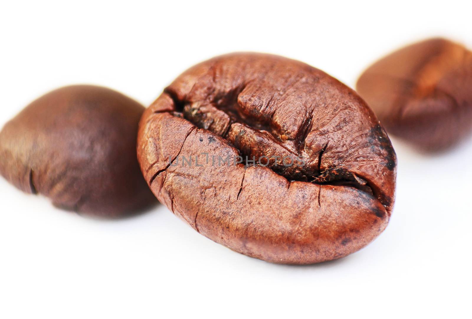 Closeup of coffee seed with focus on one