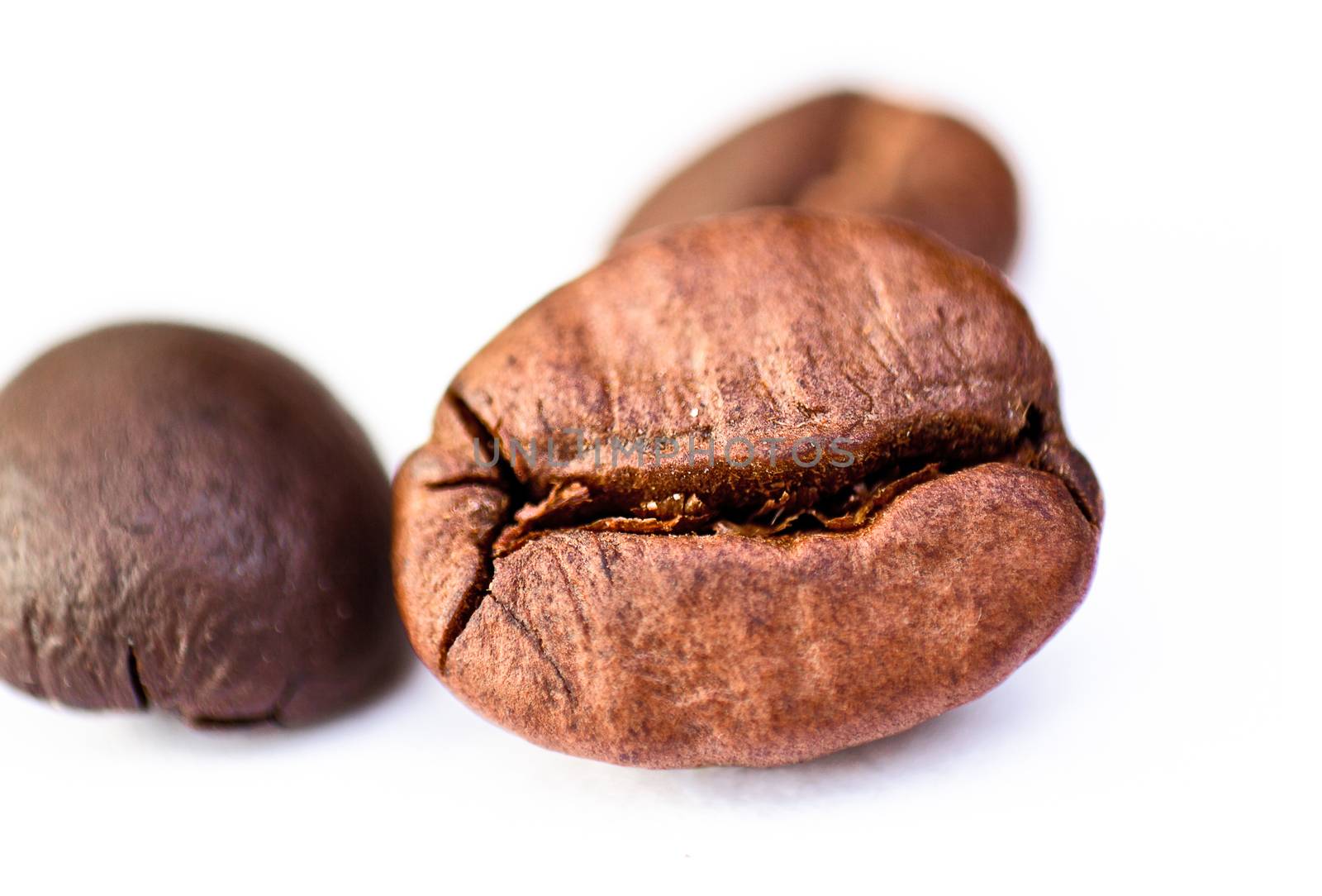 Closeup of coffee seed with focus on one