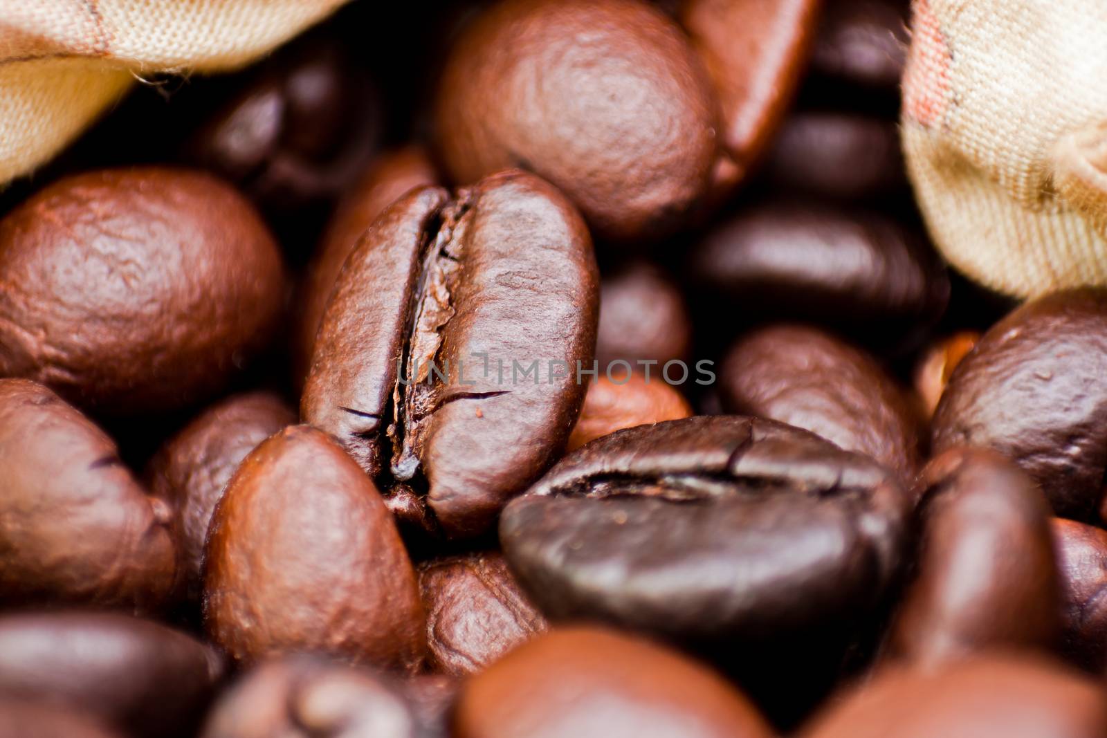 Closeup of coffee seed and focus on fracture of it