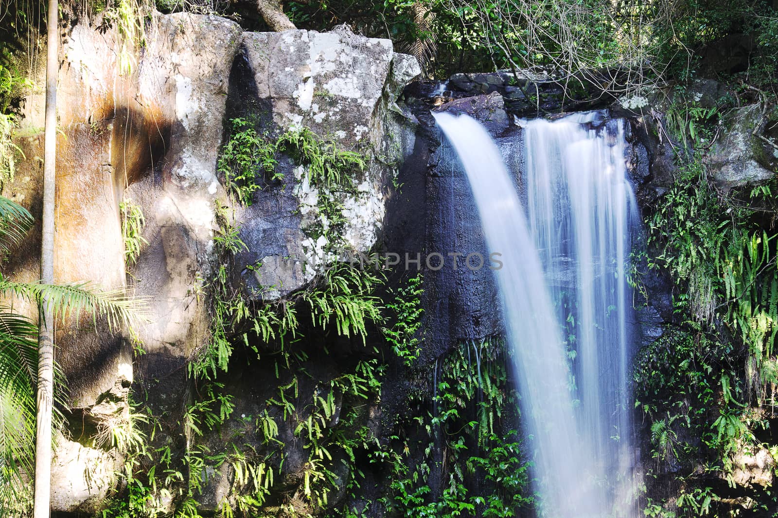 Curtis Falls in Mount Tamborine by artistrobd