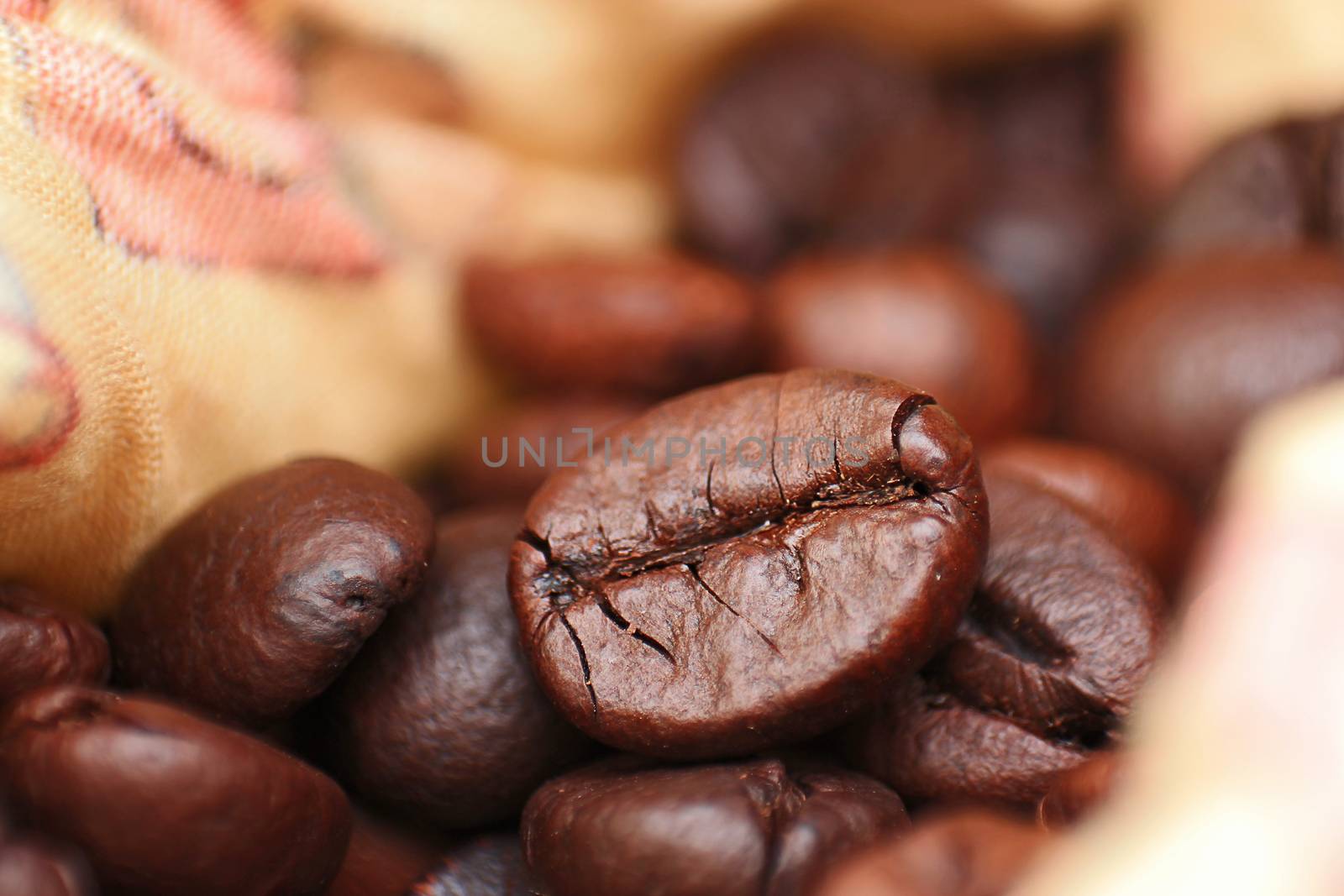 Closeup of coffee seed and focus on fracture of it