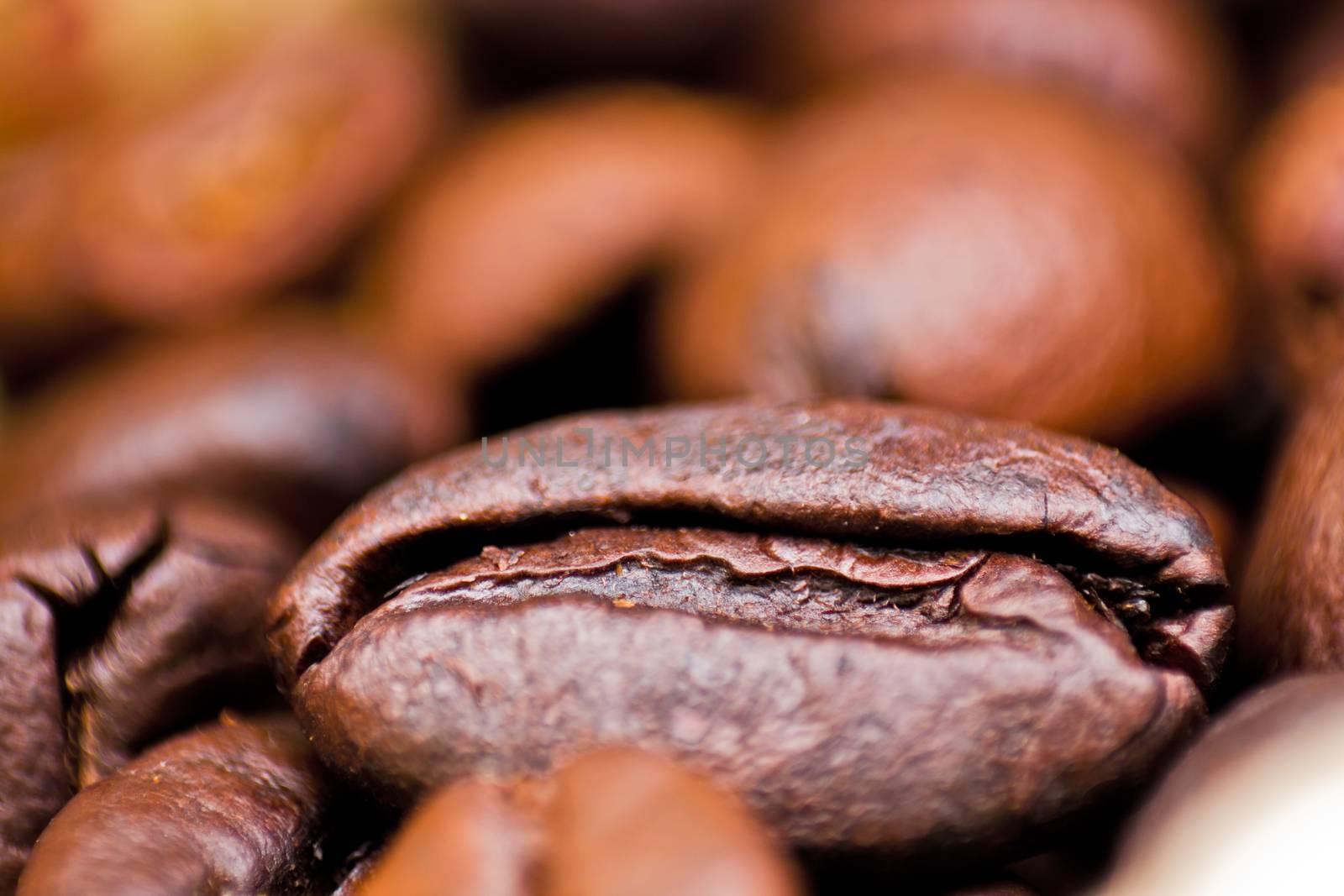 Closeup of coffee seed and focus on fracture of it