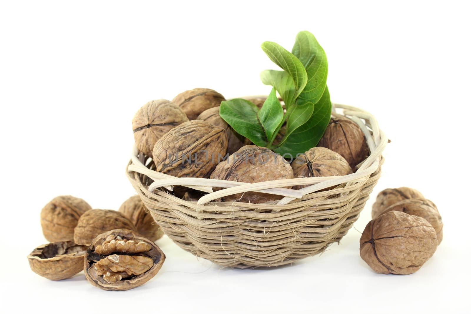 Walnut with walnut leaves on a bright background
