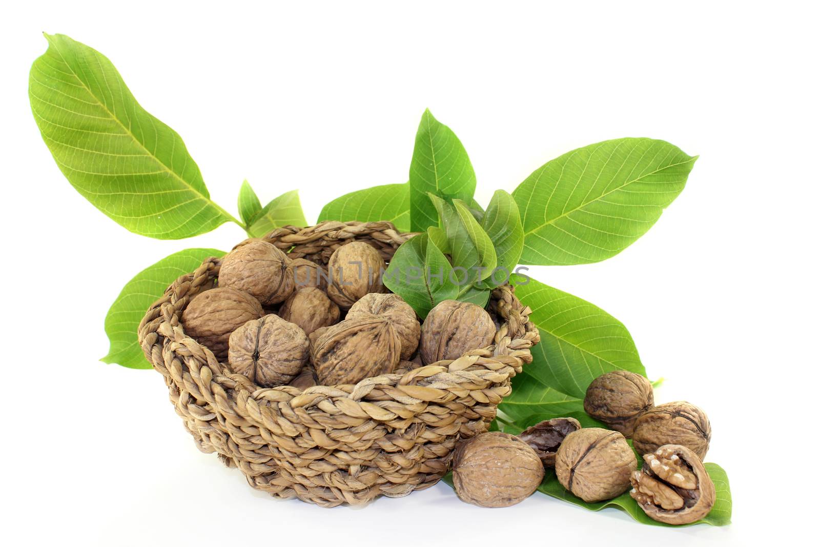 Walnut with walnut leaves on a bright background