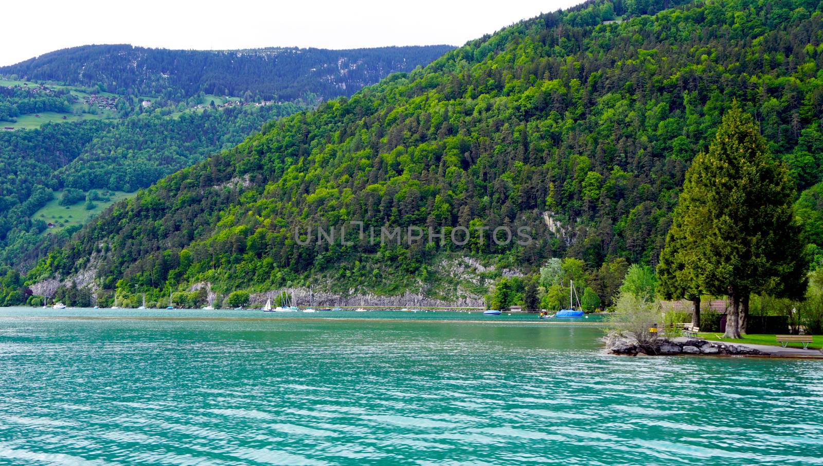 Scene of Thun Lake Interlaken, Switzerland