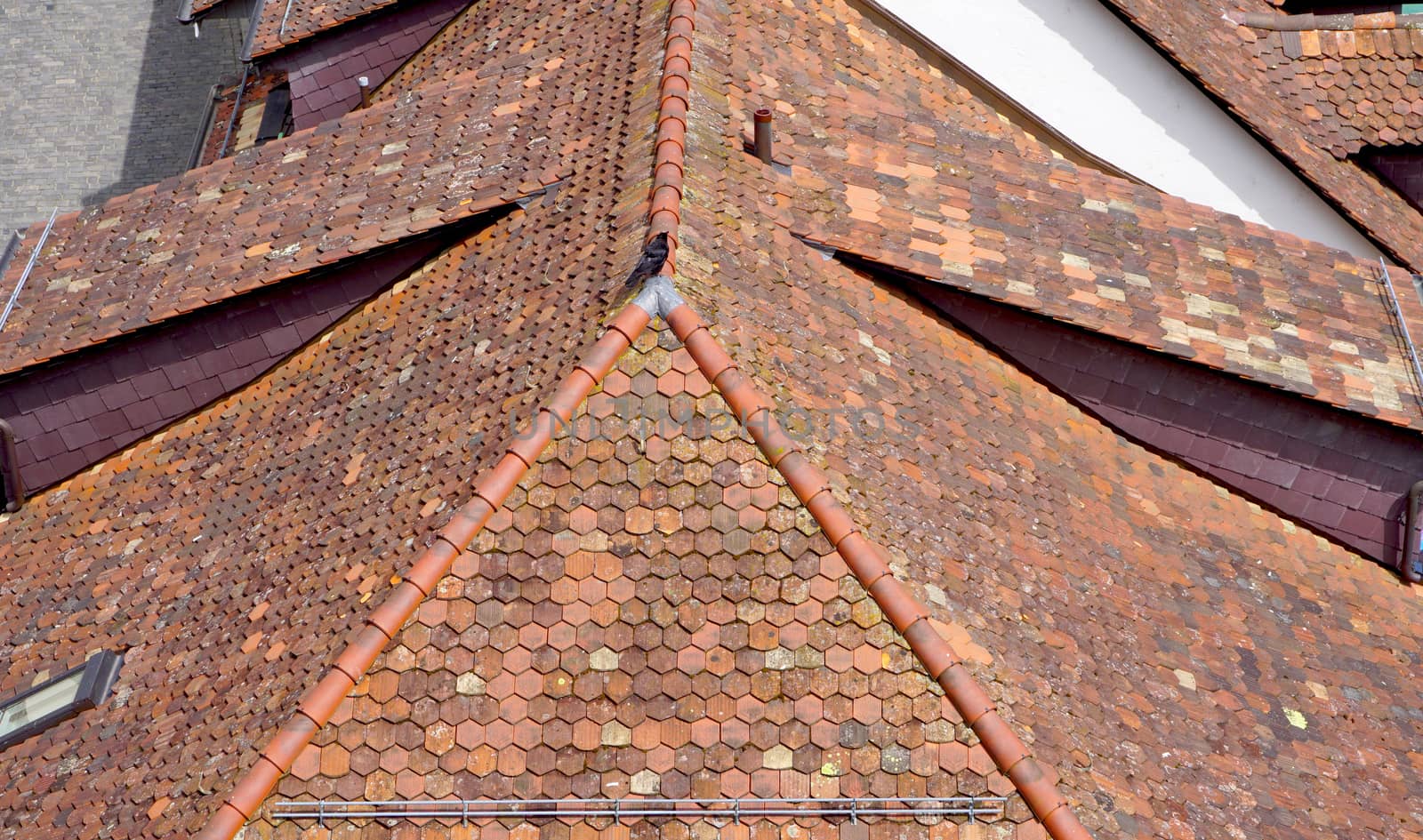 roof detail in old town city Bern, Switzerland